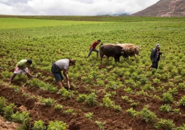 AGRICULTURA 2