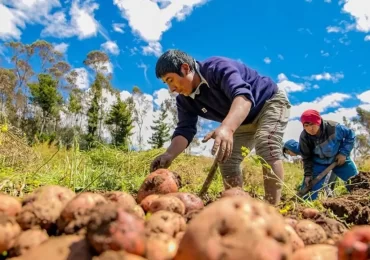 AGRICULTURA1