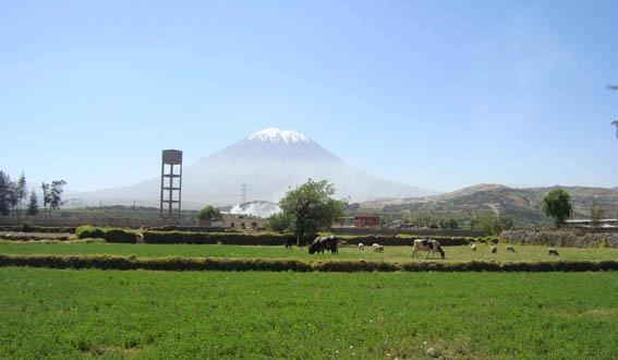 AREQUIPA 21