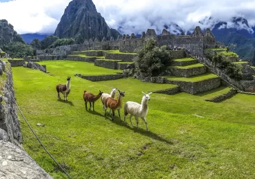 MACHU PICCHU 2