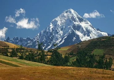 NEVADO VERONICA